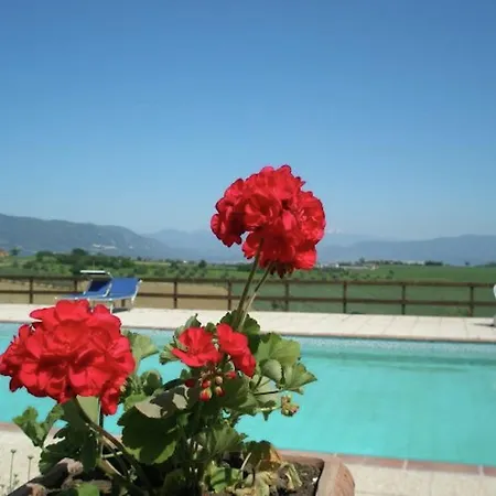 Robinia Casa vacanze